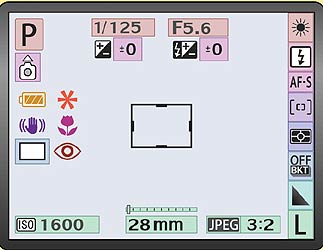 Focal Ratio