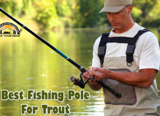Best Fishing Pole For Trout
