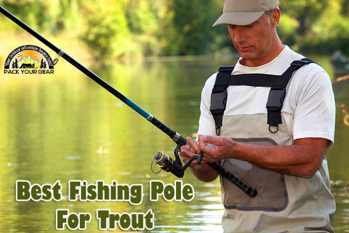 Best Fishing Pole For Trout