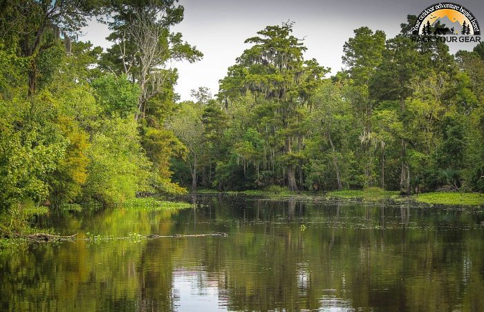 Cypress Creek National Wildlife Refuge