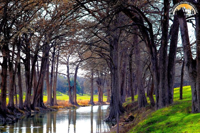 Cypress Creek National Wildlife Refuge