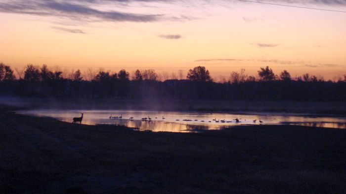 Cypress Creek National Wildlife Refuge