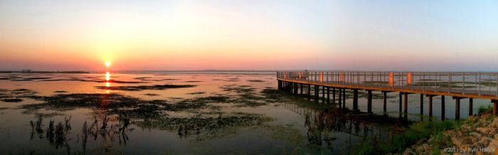 Emiquon National Wildlife Refuge