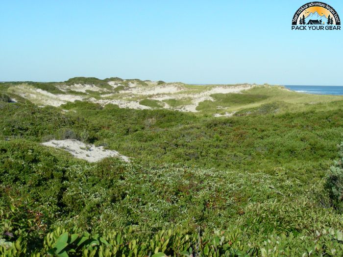 Fire Island National Seashore Wiki