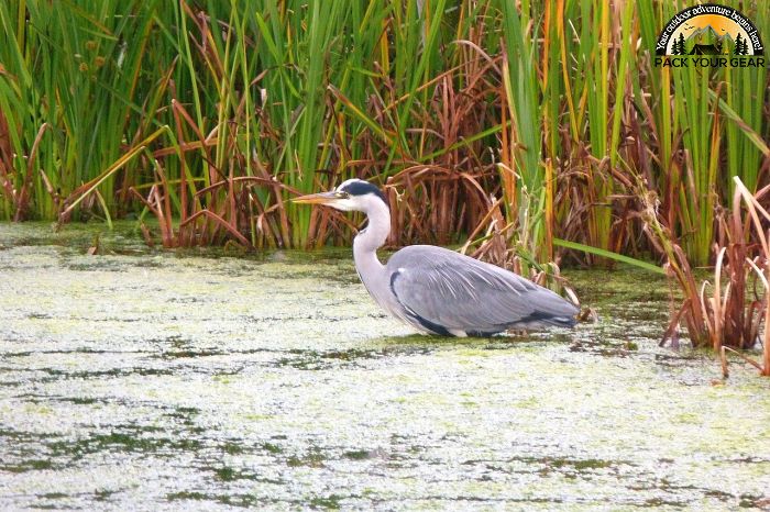 Leopold Wetland Management District