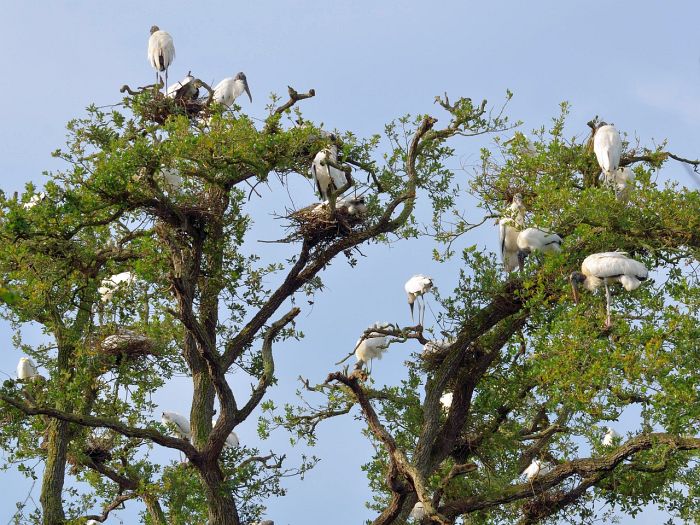 Meredosia National Wildlife Refuge