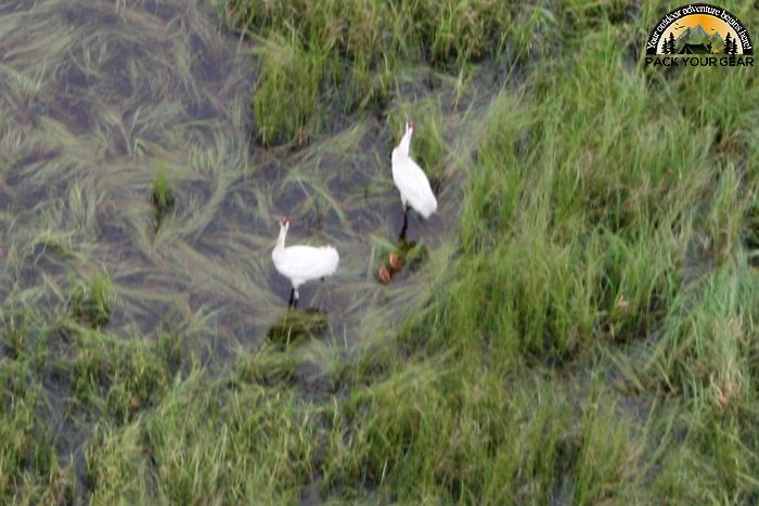 Necedah National Wildlife Refuge