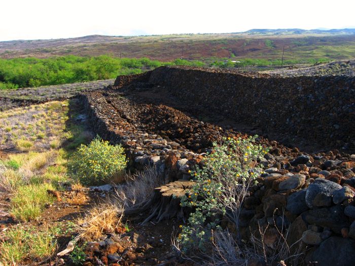 Puukohola Heiau National Historic Site