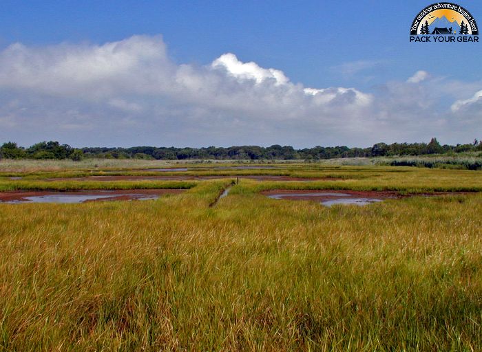 Seatuck National Wildlife Refuge