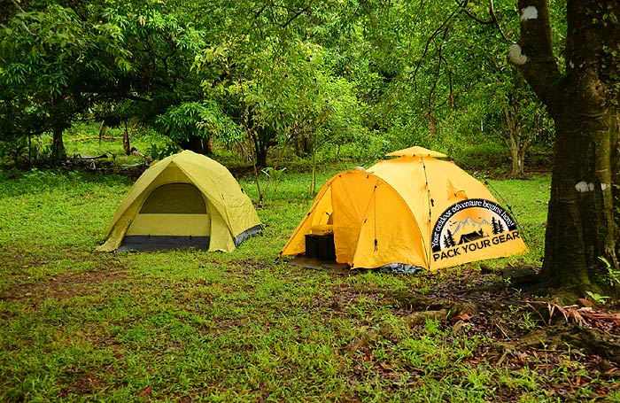 Walk-up Campsite Vs. Walk-in Campsite